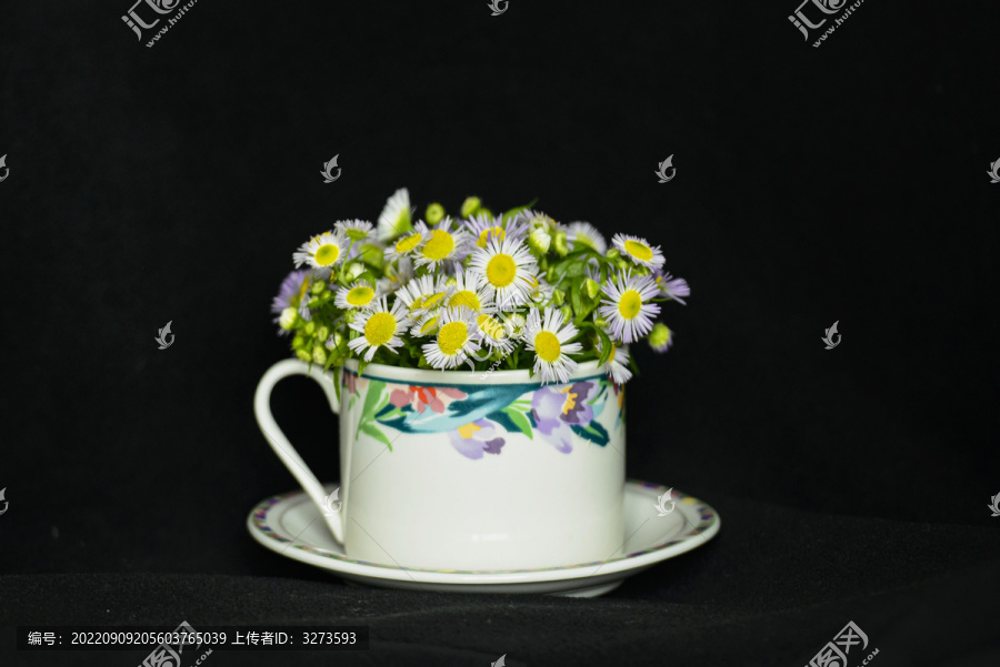 咖啡杯里的野菊花