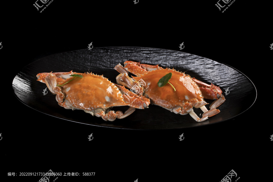 东海白蟹
