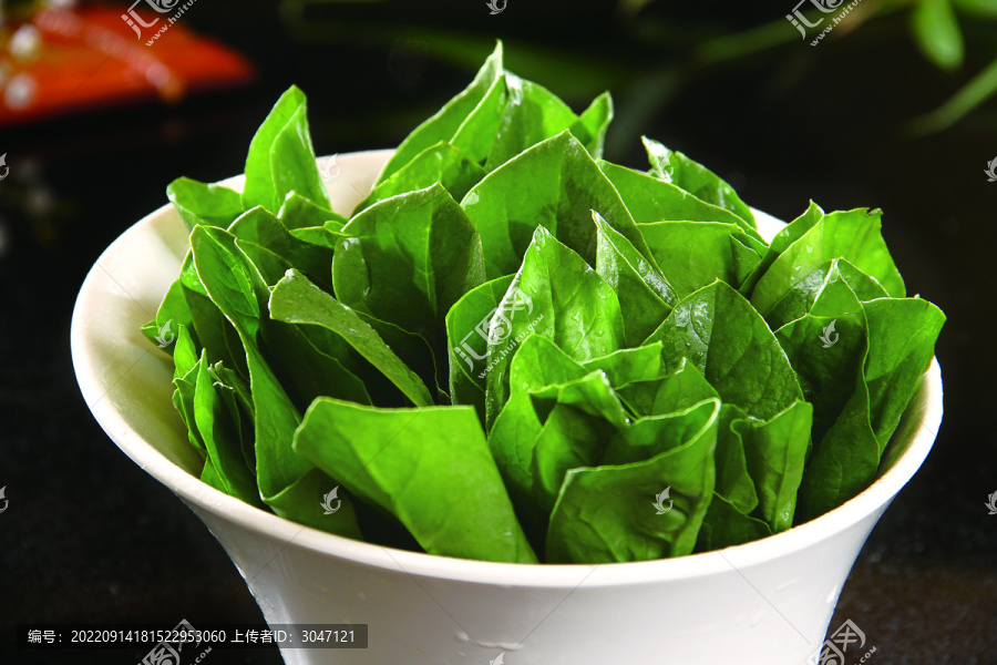 菠菜