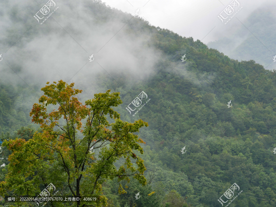 云雾袅绕山景