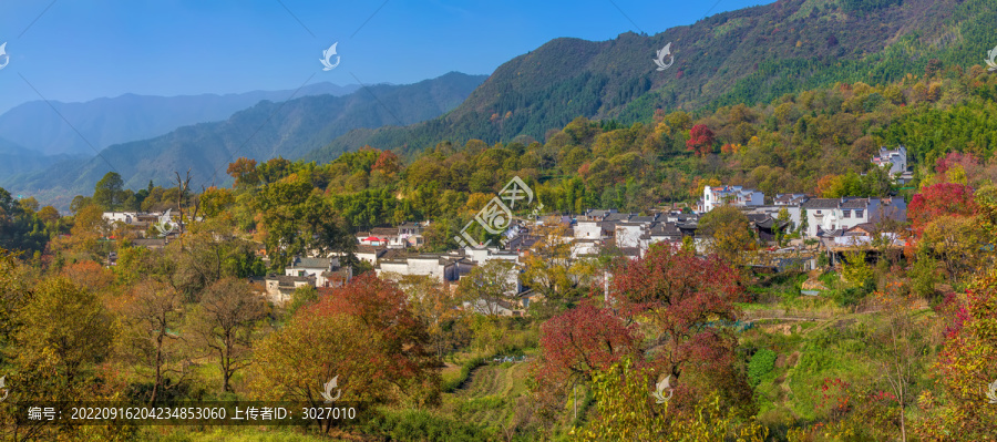 塔川秋色全景图