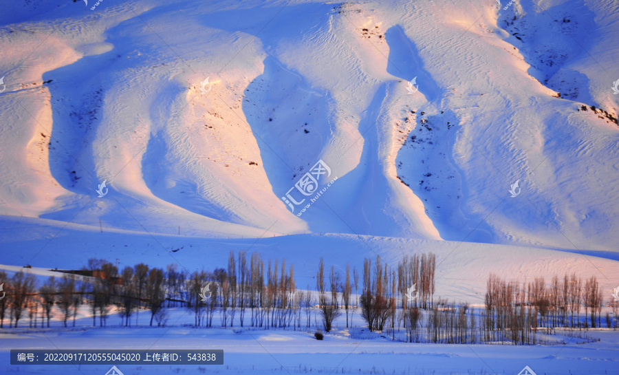 山坡雪影