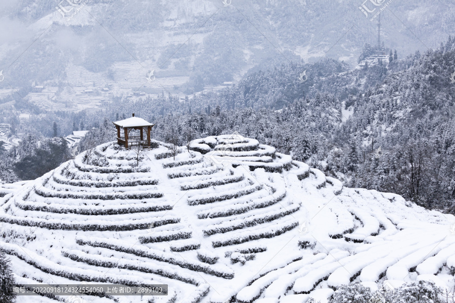 四川宜宾珙县鹿鸣茶山雪景