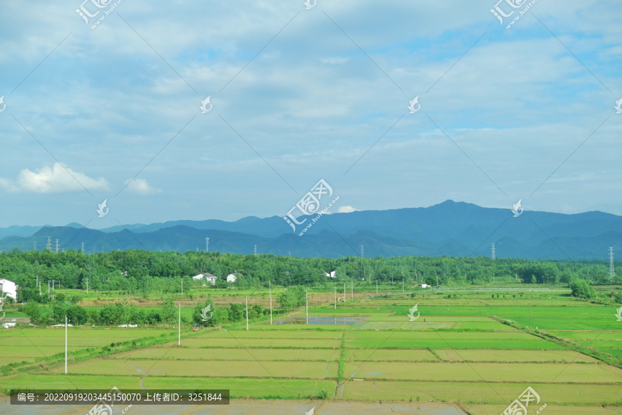 田野