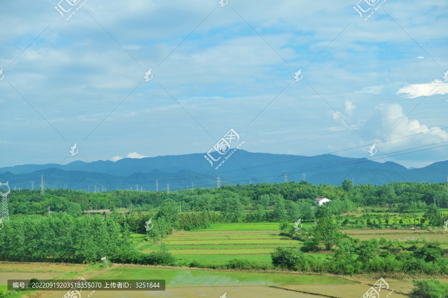 田野