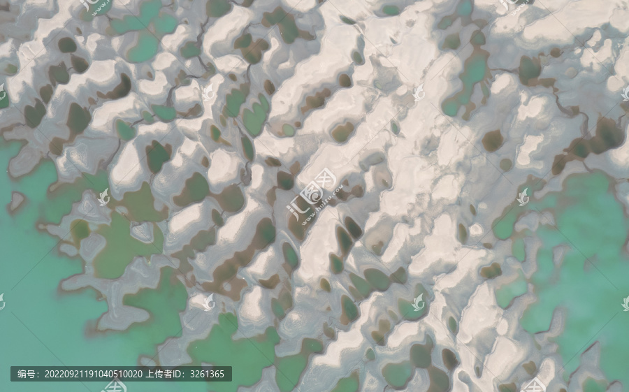 武汉天兴洲保护区湿地