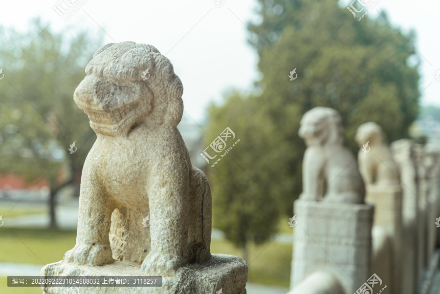 风化严重的古代石狮子特写