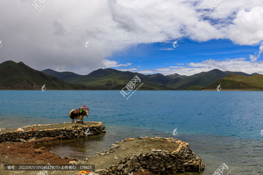 西藏羊卓雍措羊湖蓝色湖水