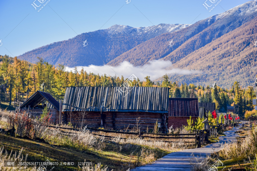 新疆喀纳斯村庄风景