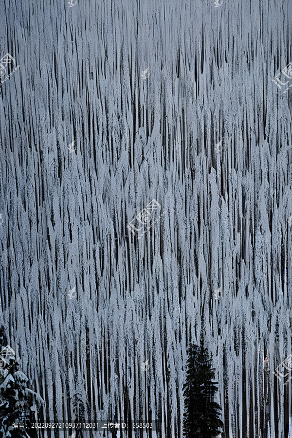 雪后森林黑白森林装饰画