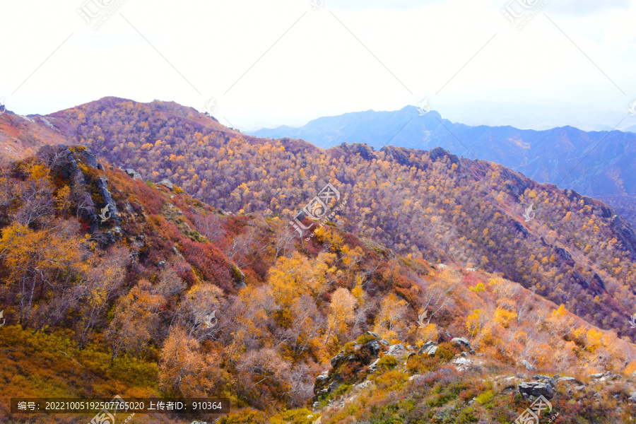 山景