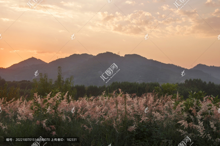 傍晚远山山峰草丛风景