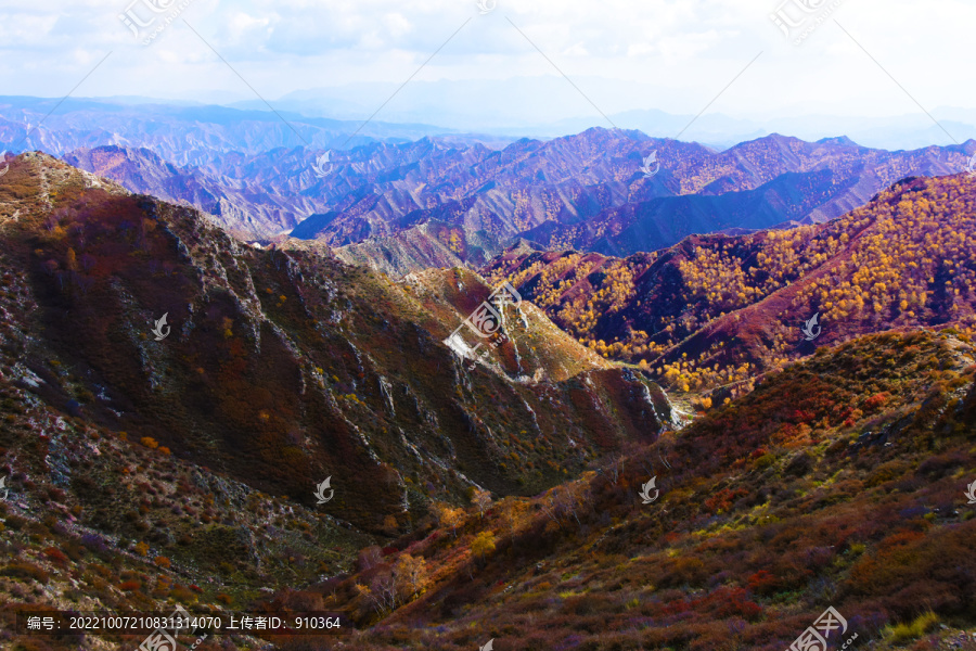 大青山