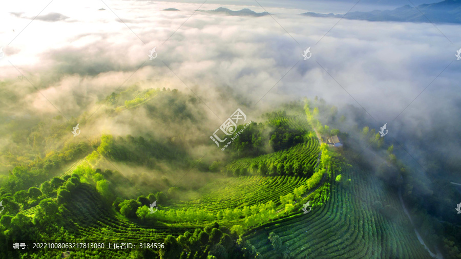 茶山云海