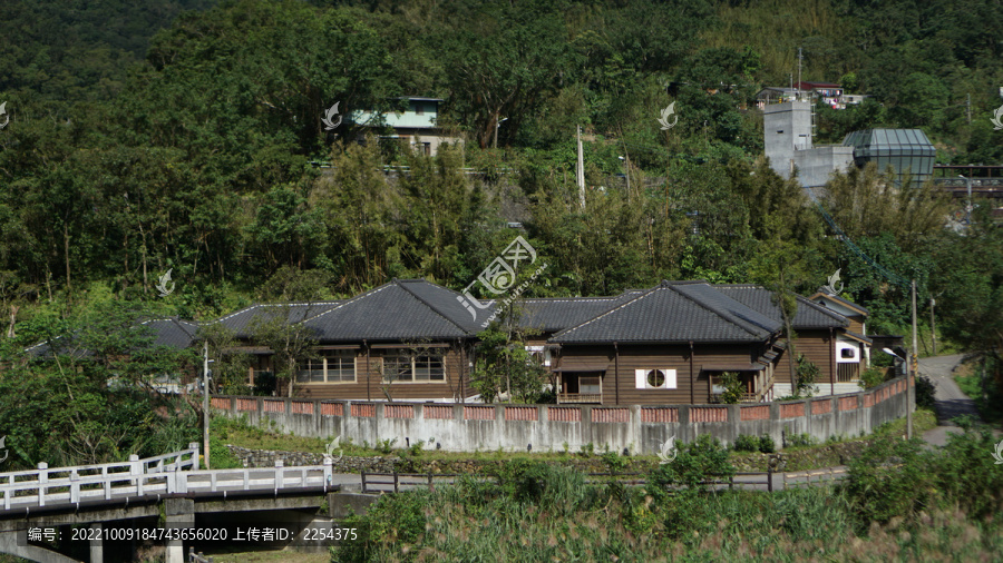 箐桐风光