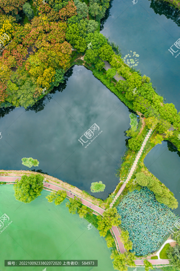 航拍湖北武汉金银湖湿地公园