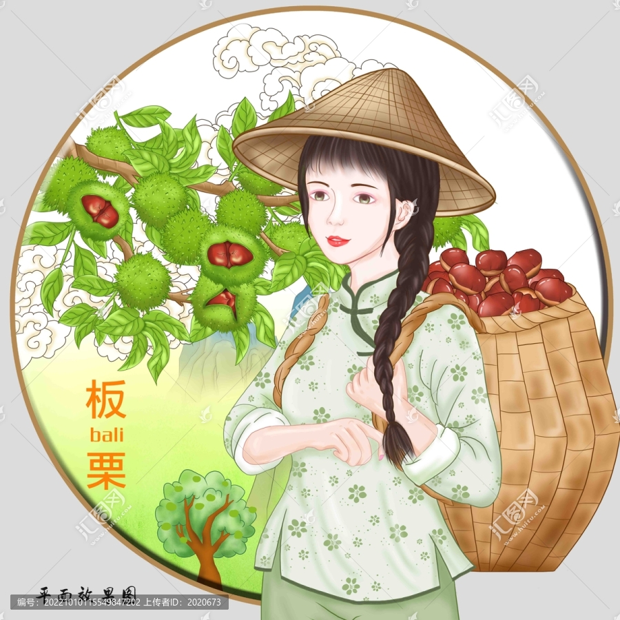 板栗插画