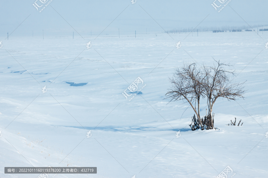 冬季草原积雪树木