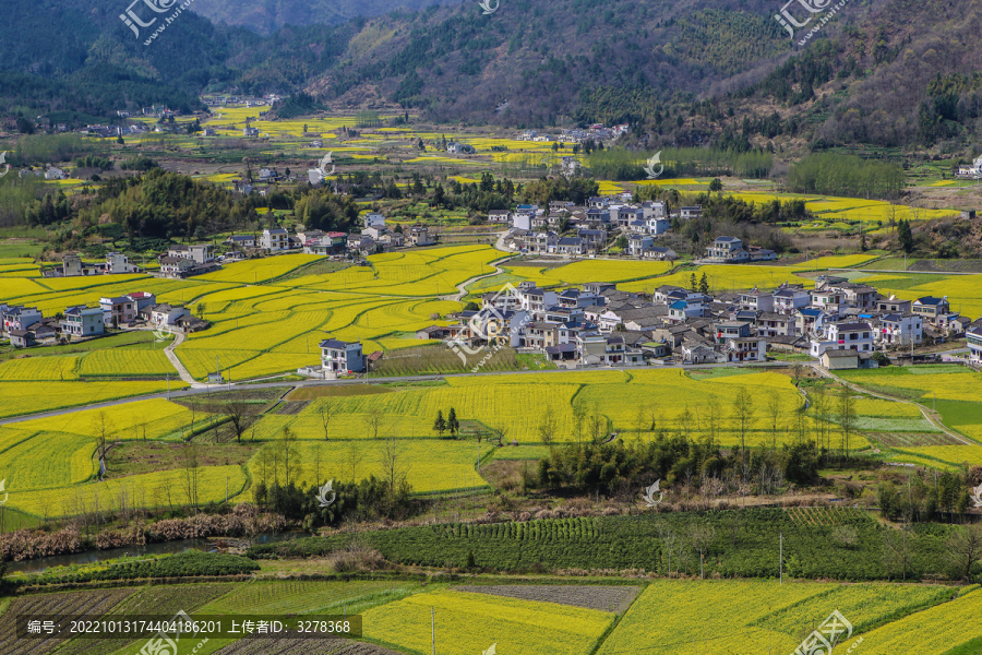 黟县柯村风光