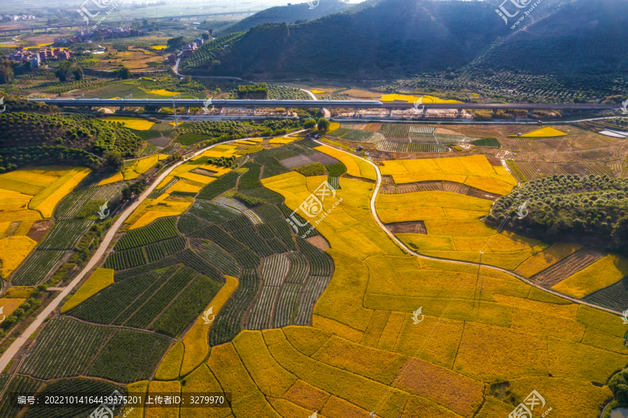 秋天的田野