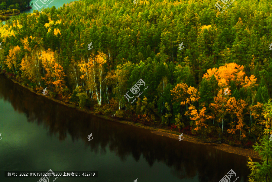 秋季河边多彩森林
