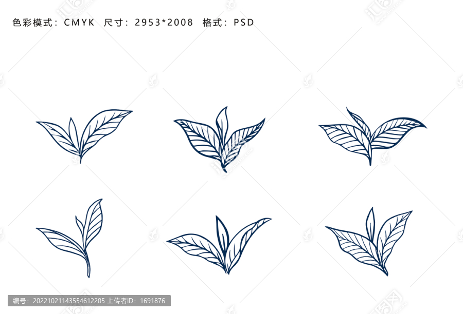 茶叶线稿素材