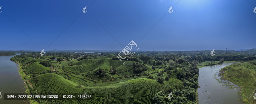 宽幅依山傍水茶田茶园图片下载