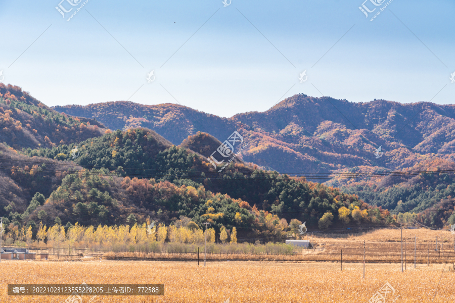 北京怀柔喇叭沟门的秋景