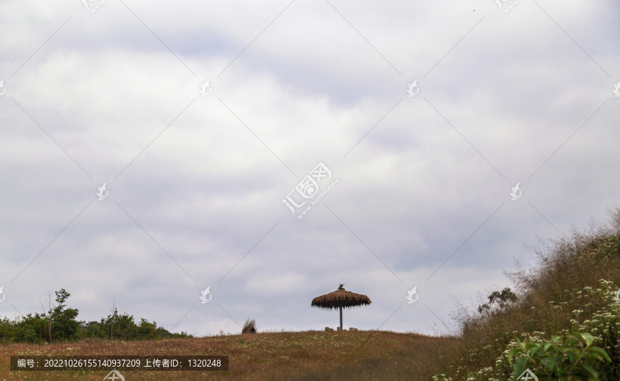 旅游风景