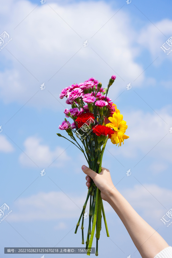 女性手拿鲜花送花