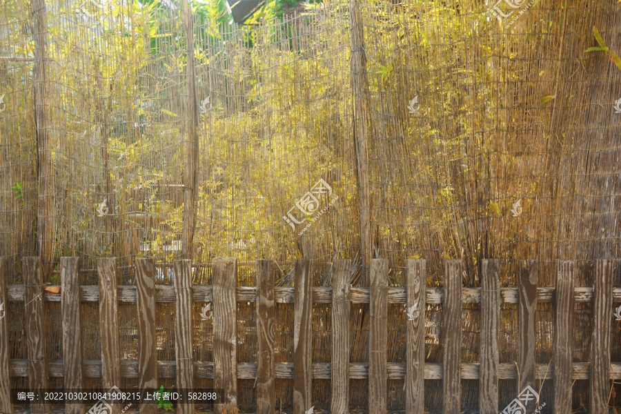 庭院木篱笆围栏