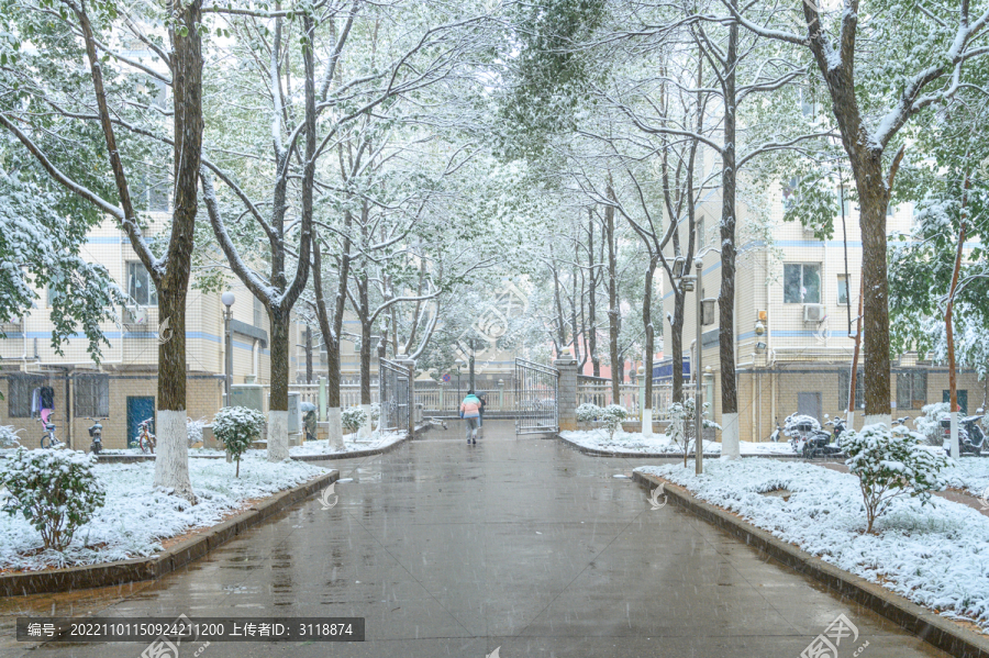 雪天