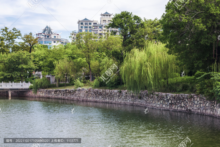 惠州西湖垂柳风景
