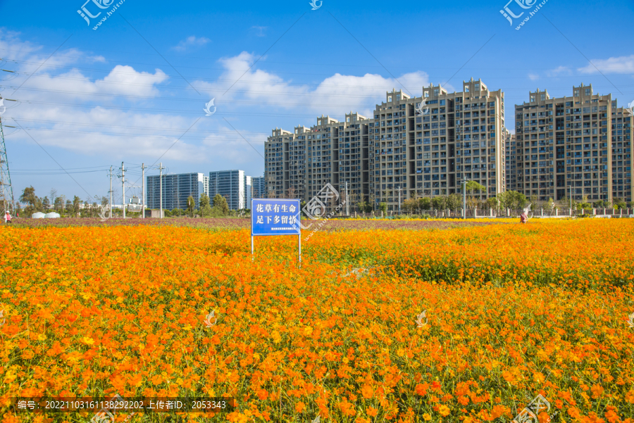 花园城市