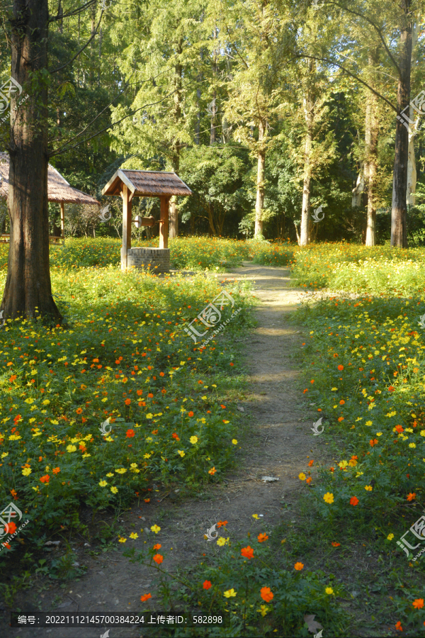 花丛小路