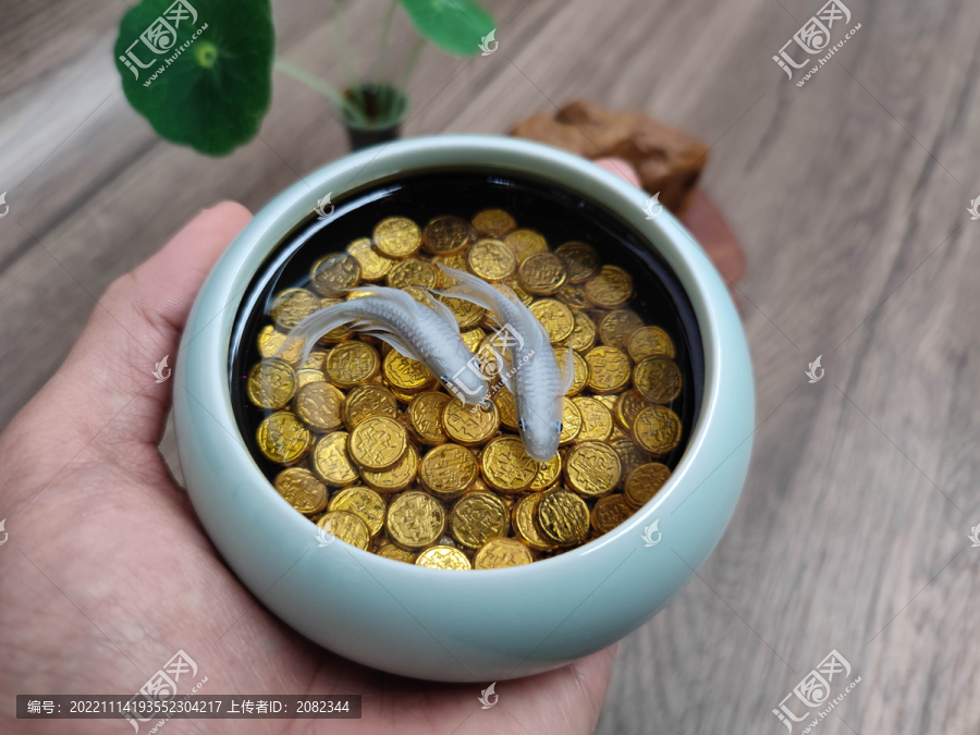 白色双鱼锦鲤金钱聚宝盆