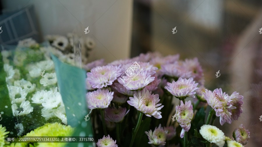 原创拍摄植物礼物鲜花花卉菊花