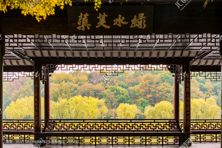 杭州西湖中式建筑绿水芙蕖秋景