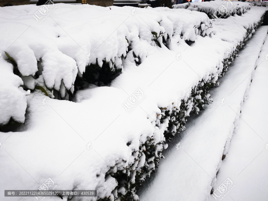 大雪景厚厚的雪