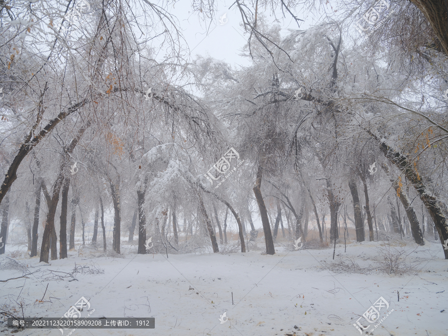 下雪