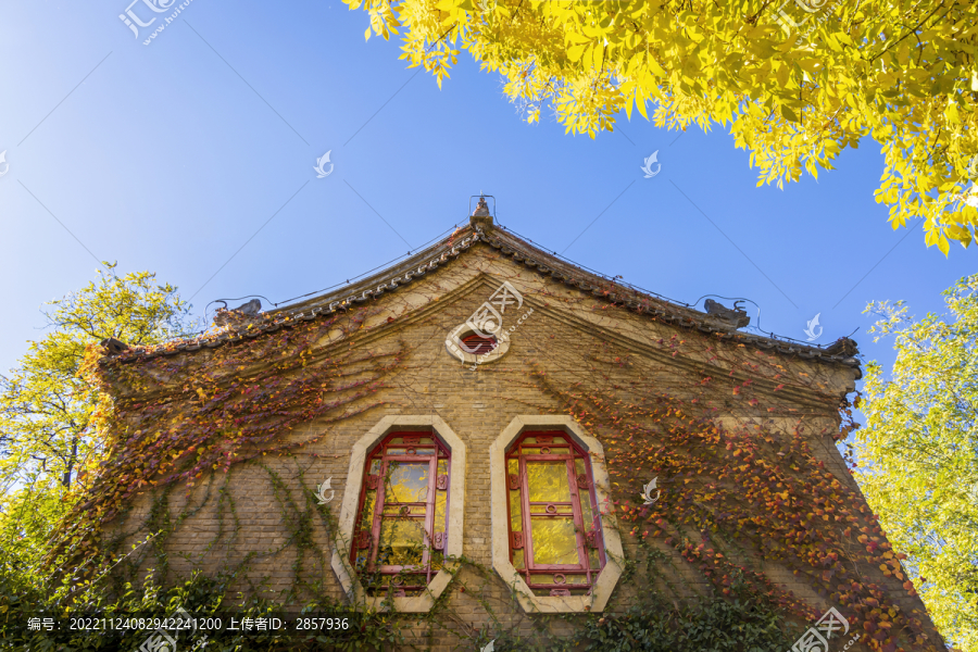 秋天黄叶与北京大学静园建筑