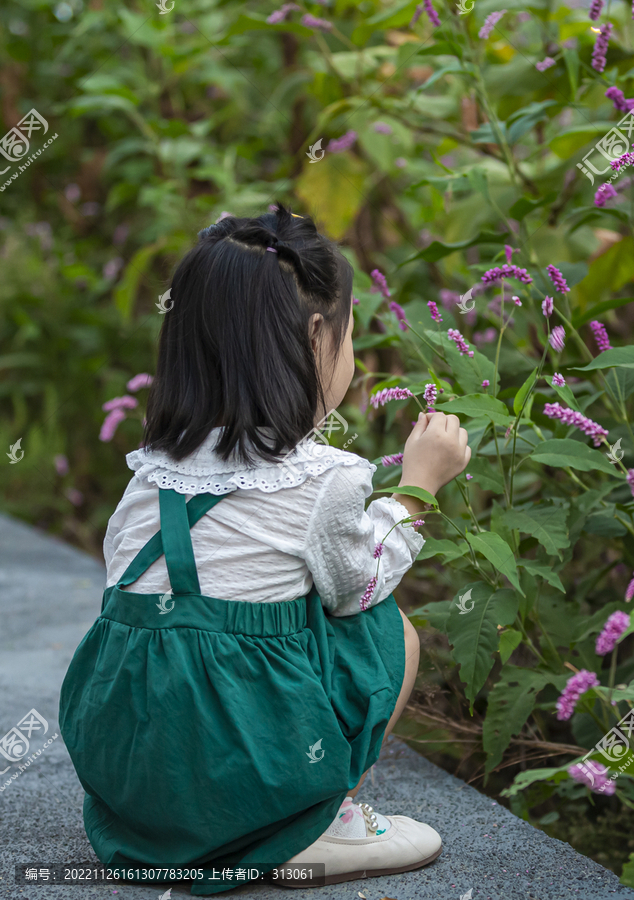 抚摸观察花朵的小女孩背影
