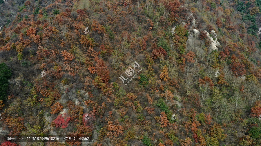 航拍秦岭山脉秋天景色