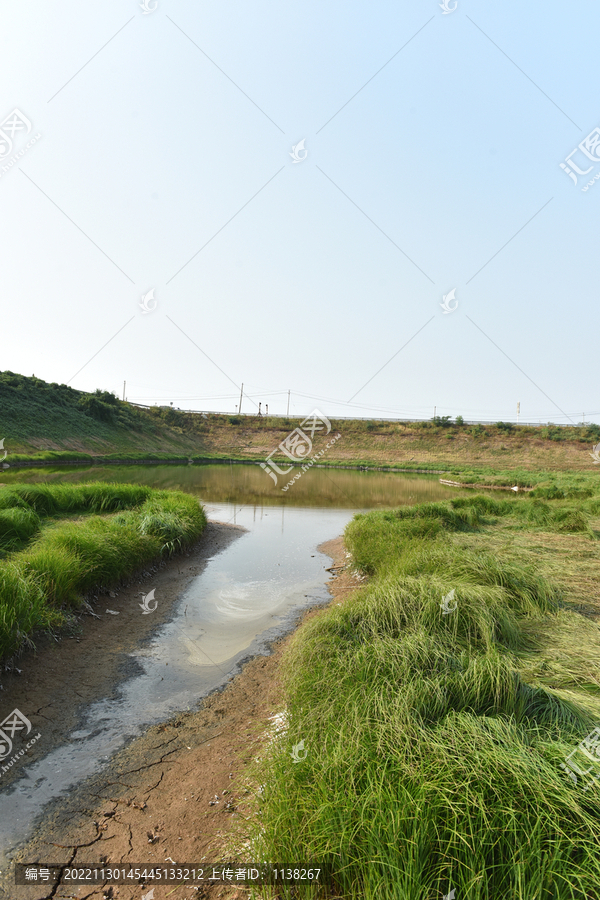 露营草地