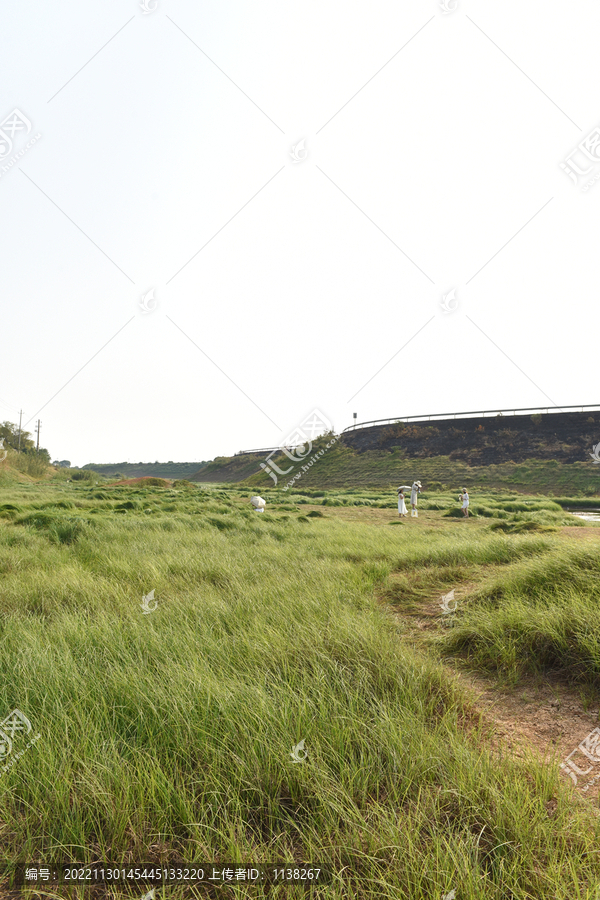 露营草地