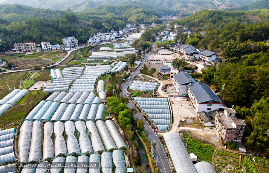 农村种植园