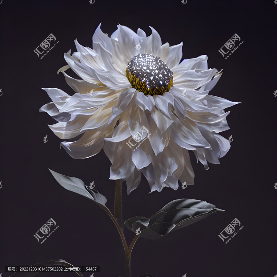 花卉