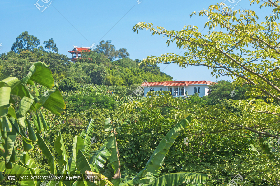 漳州香蕉海生态公园景观