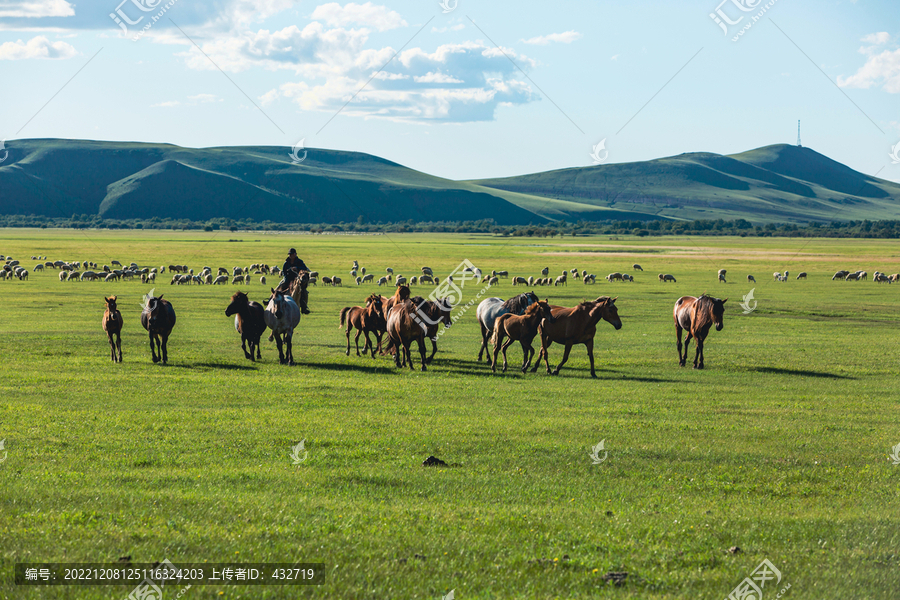 草原牧场夏天骑马放牧