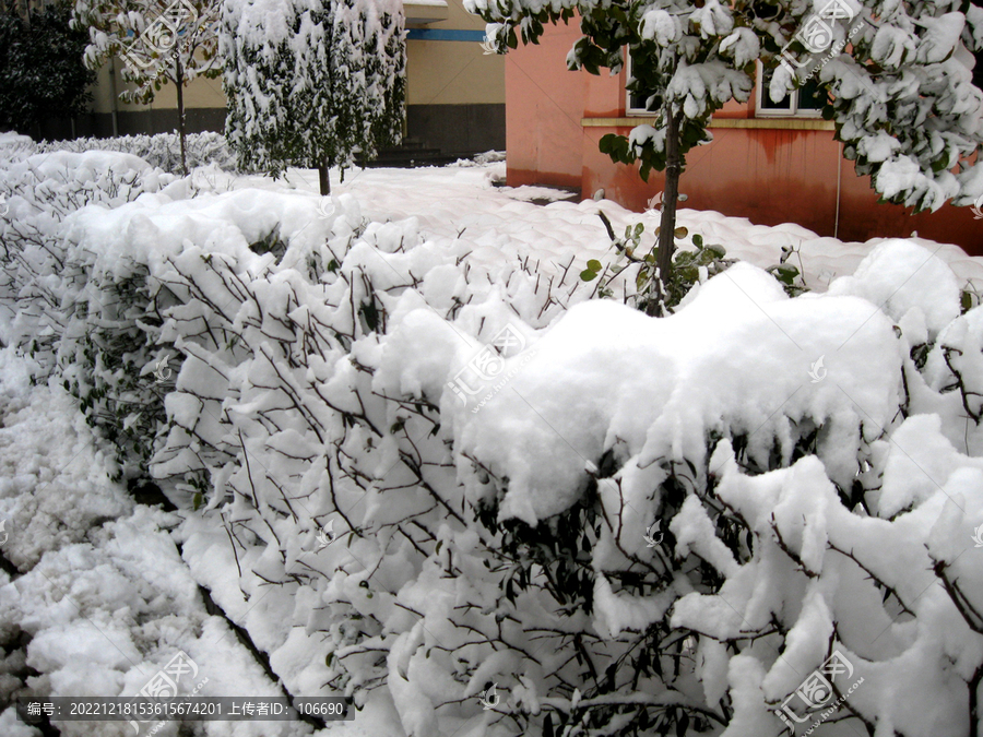 积雪